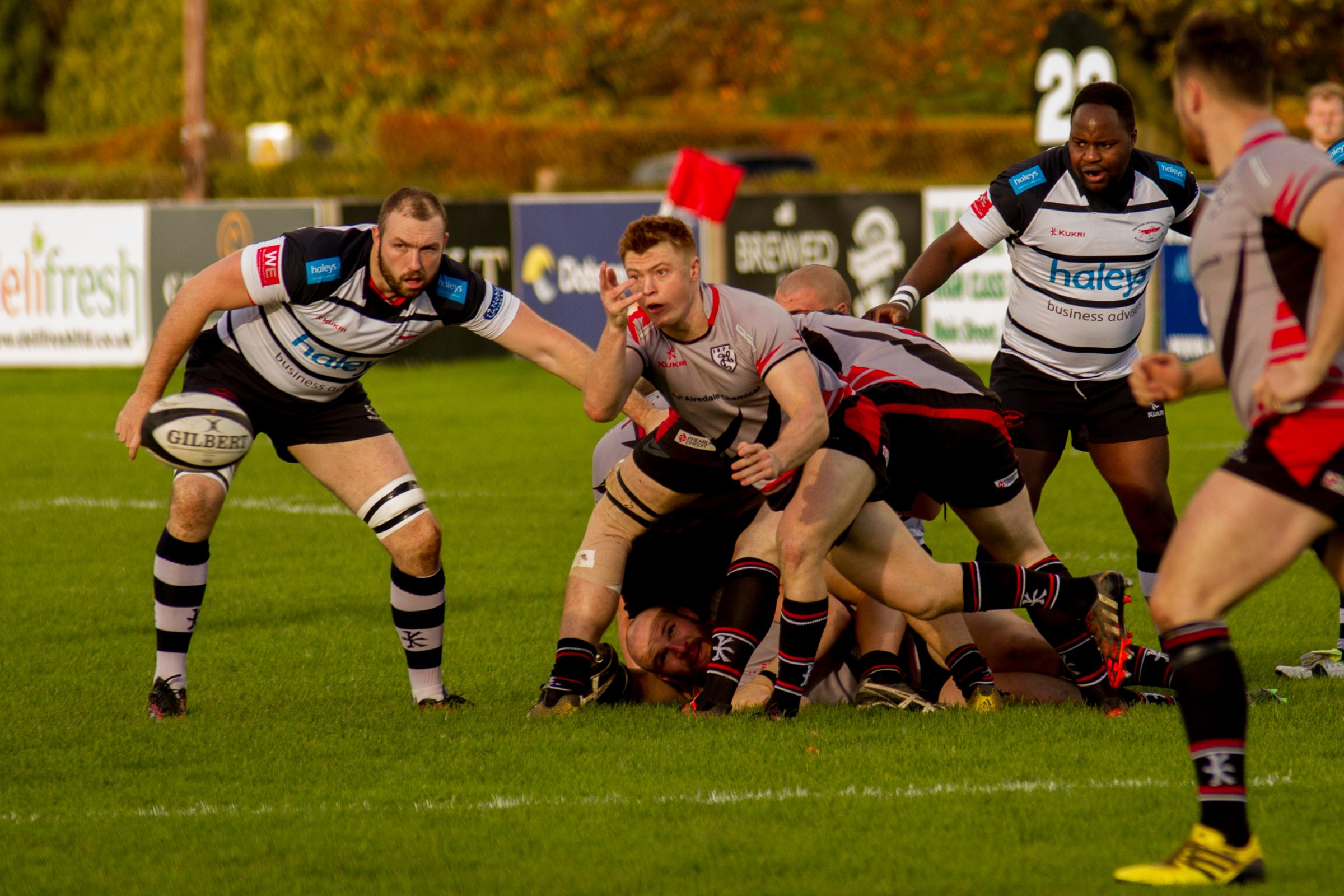 All 637 Rugby Clubs