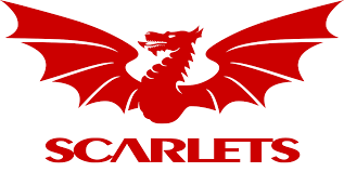 Scarlets official badge